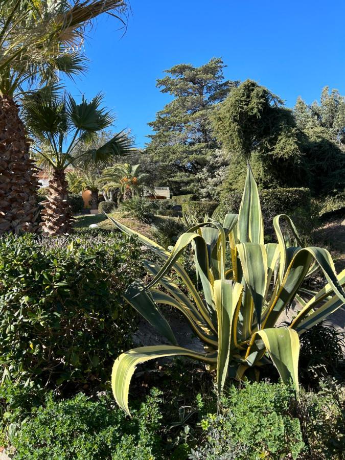 Appartement Vue Mer Domaine Arbore Saint-Raphaël Zewnętrze zdjęcie