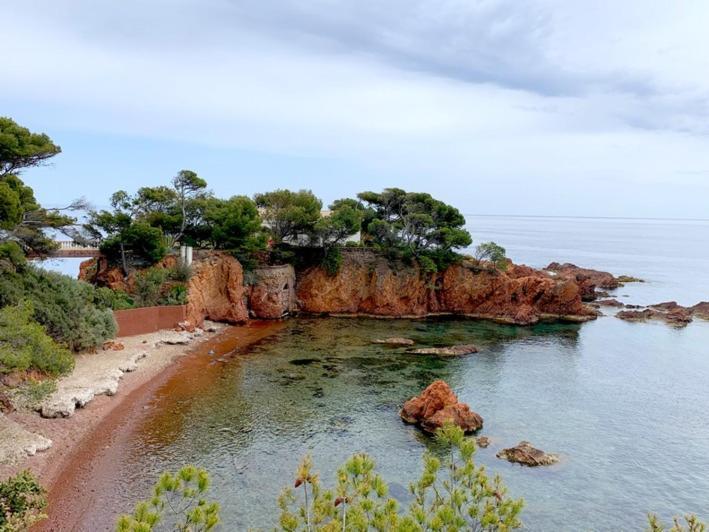 Appartement Vue Mer Domaine Arbore Saint-Raphaël Zewnętrze zdjęcie